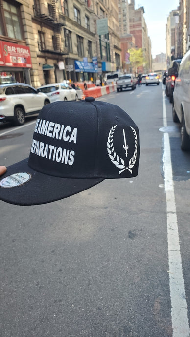MAPR Hat (Black)